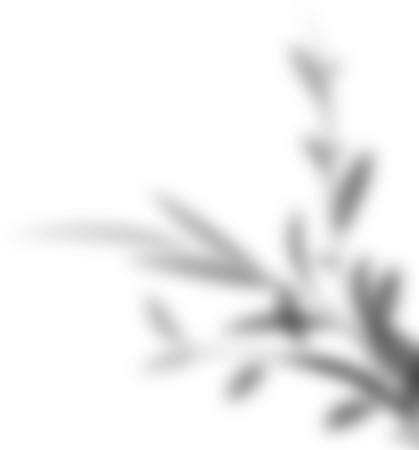 Aesthetic Shadow Background